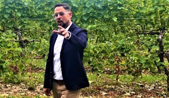 Exploring the Evolution of Tabor Hill Winery