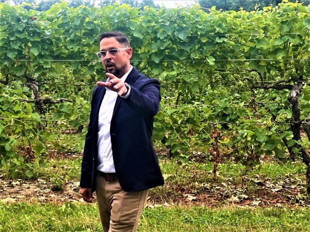 Exploring the Evolution of Tabor Hill Winery
