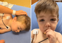 Toddler’s Emergency Treatment After Fire Ant Attack