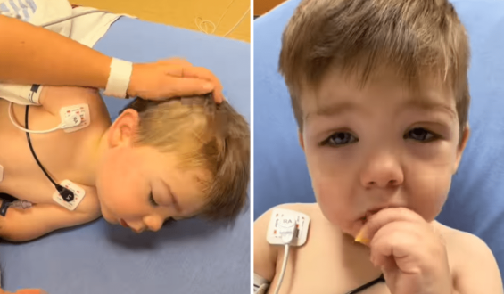 Toddler’s Emergency Treatment After Fire Ant Attack