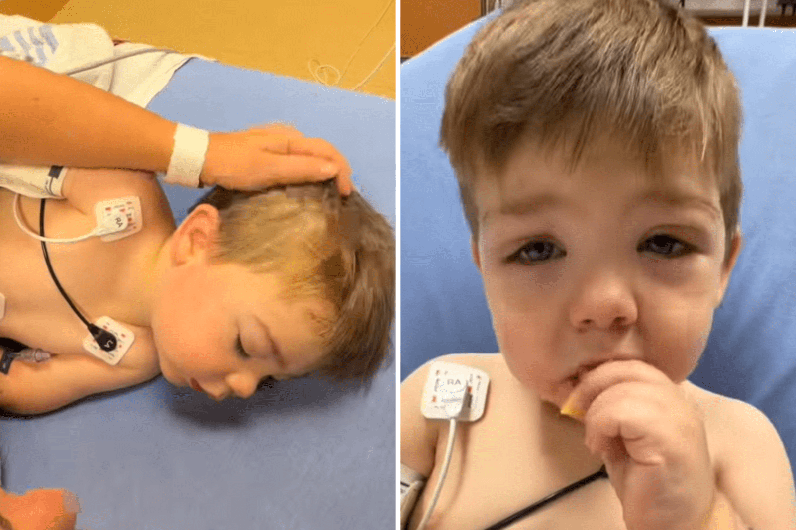 Toddler’s Emergency Treatment After Fire Ant Attack