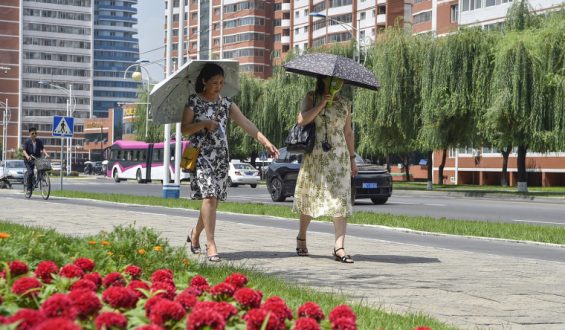 North Korea’s Strategies to Battle Heat Wave
