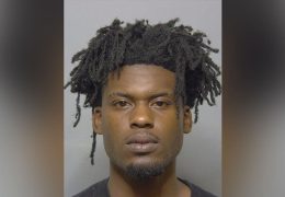 Florida Driver Arrested After Crashing Into School Bus