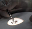 West Nile Virus Case Detected in New York City