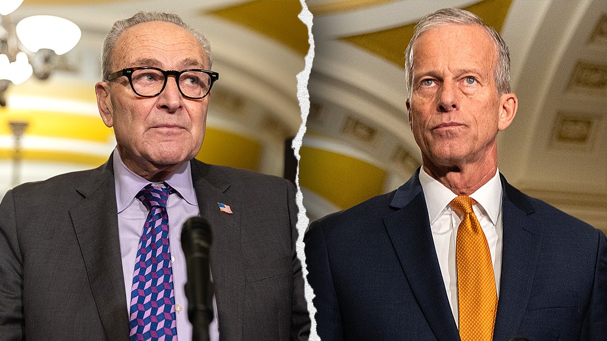 Senate Republicans Push for Short-Term Funding Extension to Avert Government Shutdown
