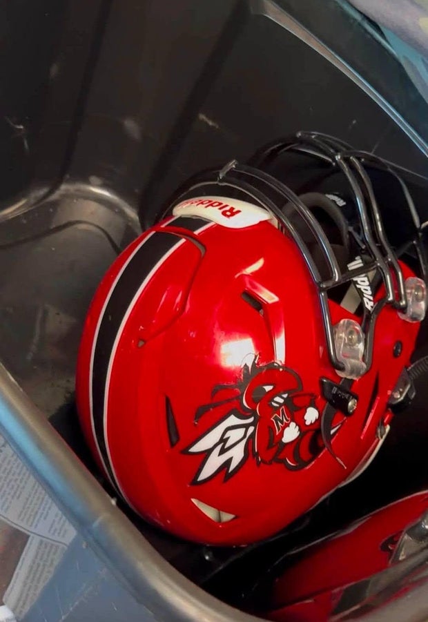 Venomous Snake Removed from Arkansas Football Player’s Helmet