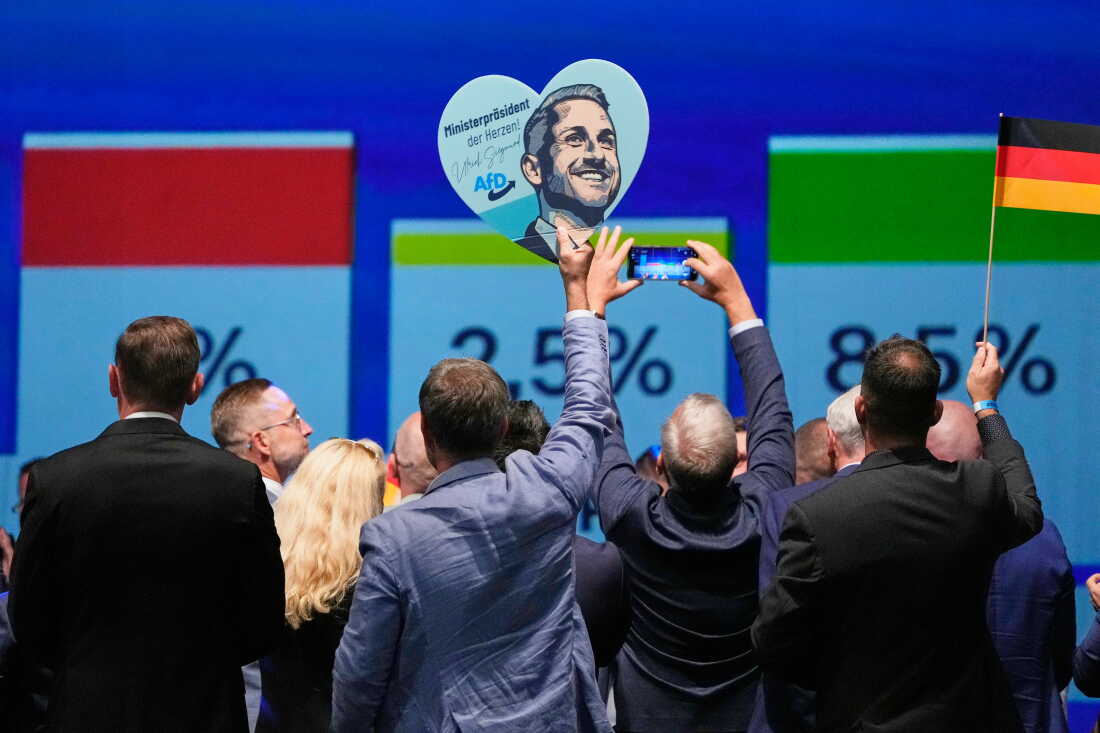 AfD Wins Most Votes in Saxony-Anhalt State Election
