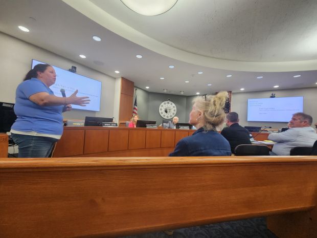 Porter County Leaders Discuss Storm Cleanup Efforts