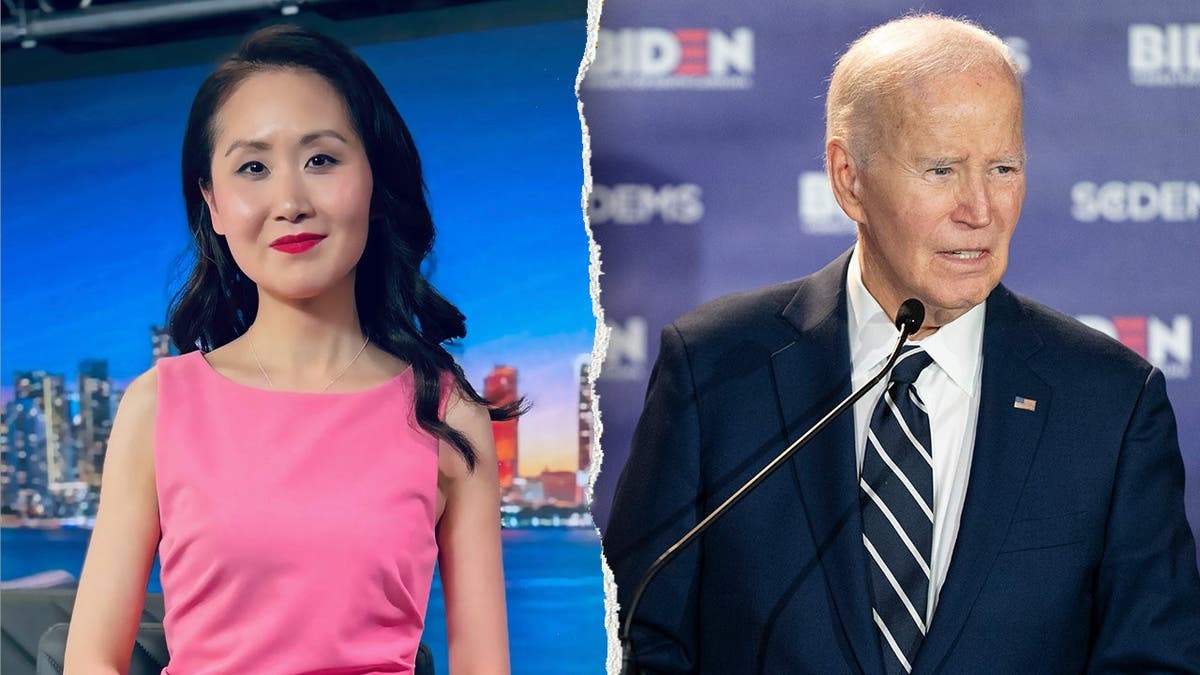 Lindy Li Critiques Democratic Leadership and Rise of DSA