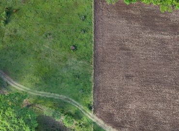 Severe El Niño Threatens Global Food Supply and Prices