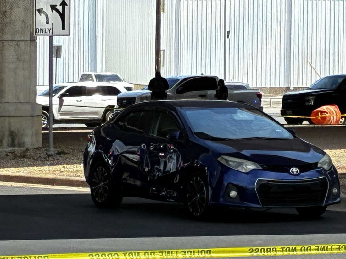 Federal Immigration Agent Shooting in Austin Sparks Community Outrage