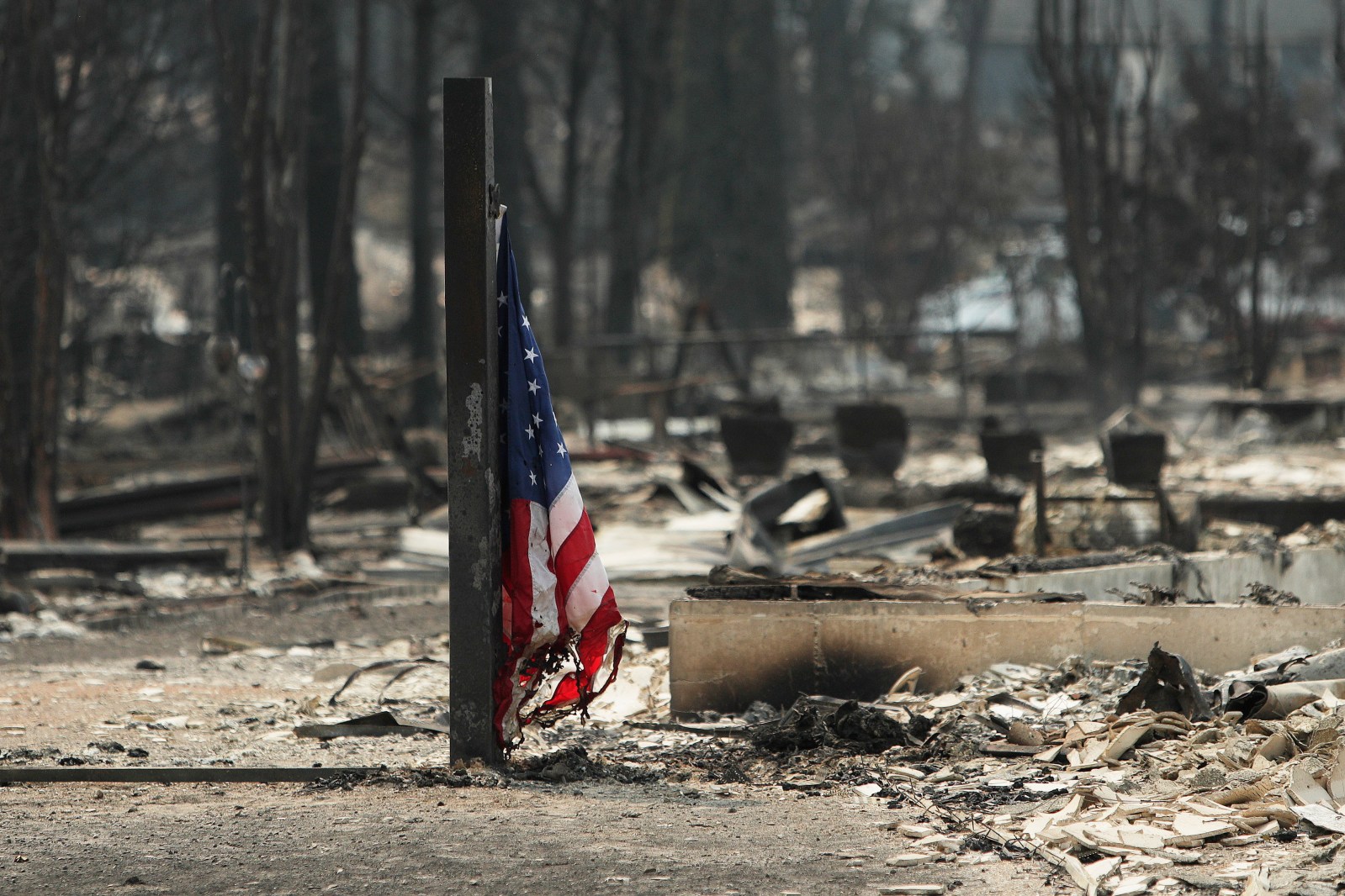 Record-Breaking Wildfire Year in the U.S.