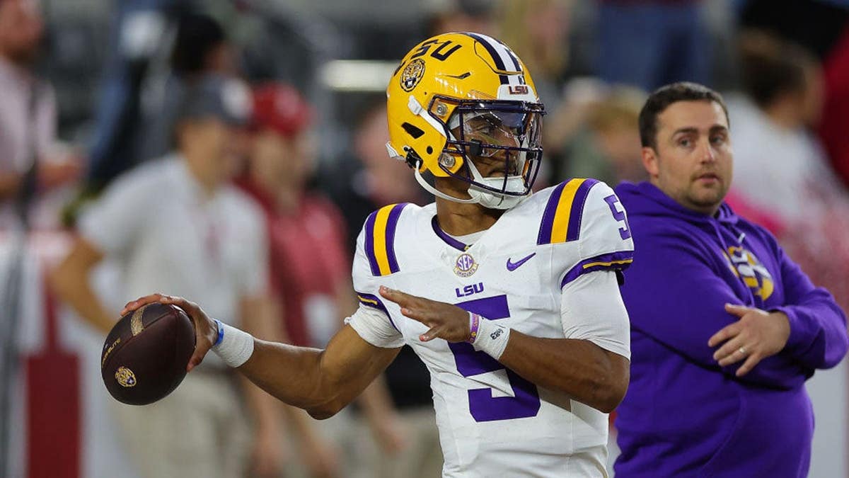 Former NFL Player Allowed to Return to College Football