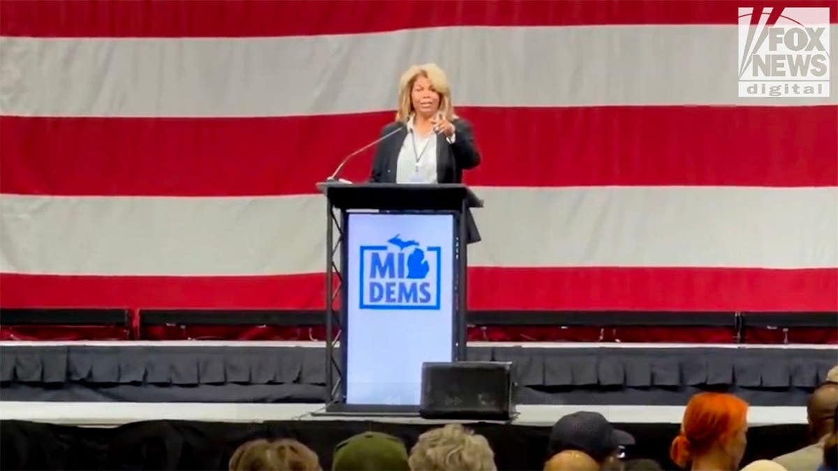 Michigan Democratic Party Nominating Convention Faces Challenges
