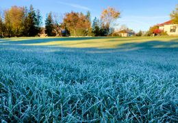 Nation Faces Weather Extremes: Heat in the South, Frost Threat in the North