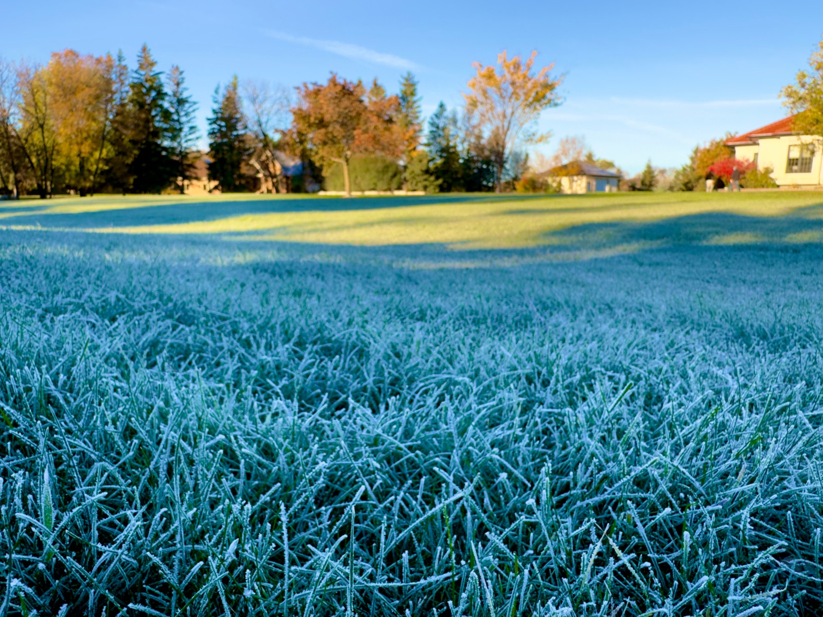 Nation Faces Weather Extremes: Heat in the South, Frost Threat in the North