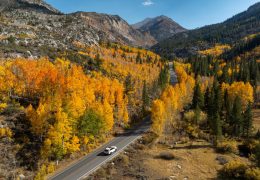 California’s Fall: Colors, Experiences, and News