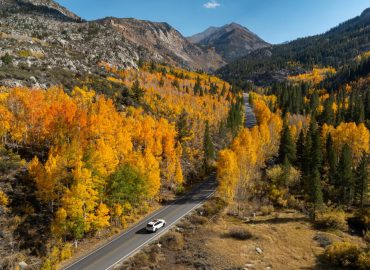 California’s Fall: Colors, Experiences, and News