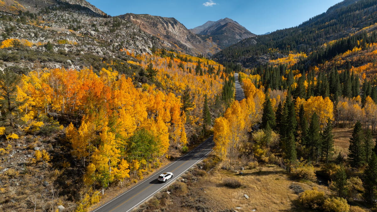 California’s Fall: Colors, Experiences, and News