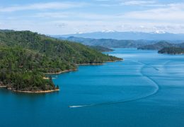 Tragic Incident at Shasta Lake: Man Dies Saving Dog