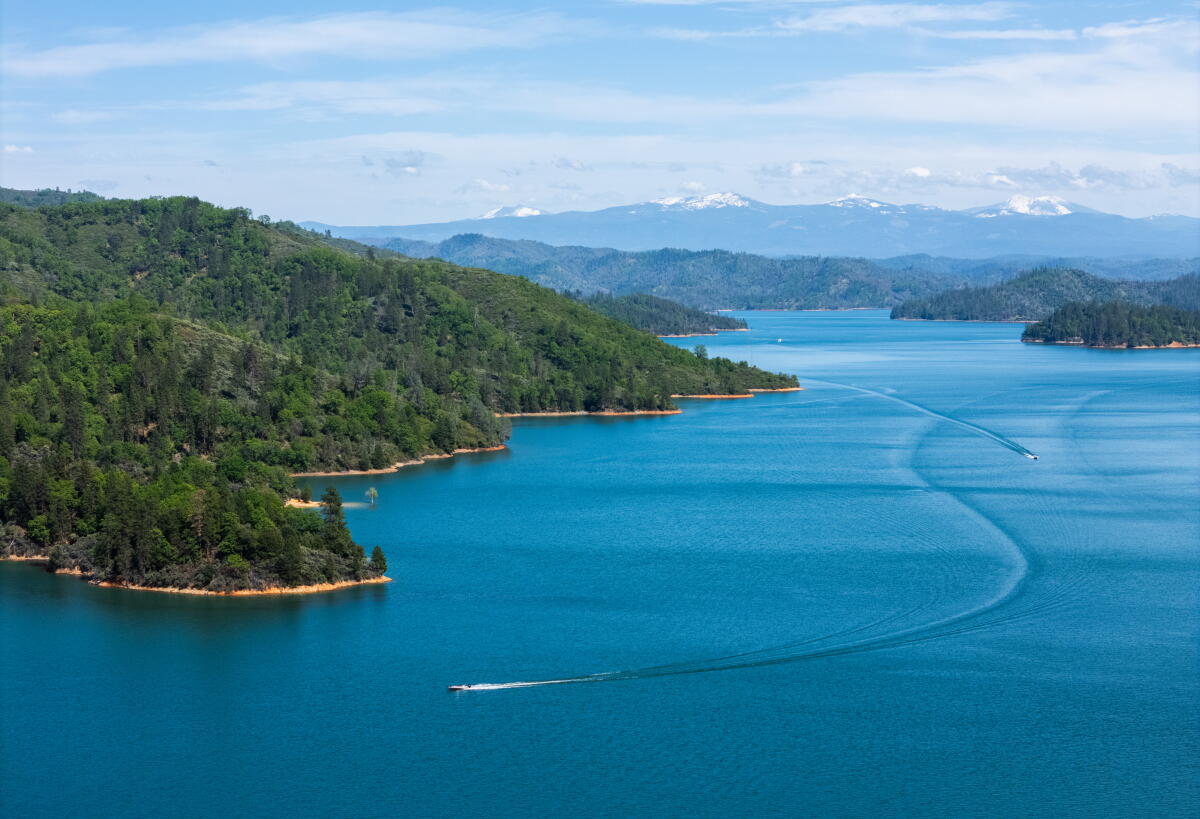 Tragic Incident at Shasta Lake: Man Dies Saving Dog