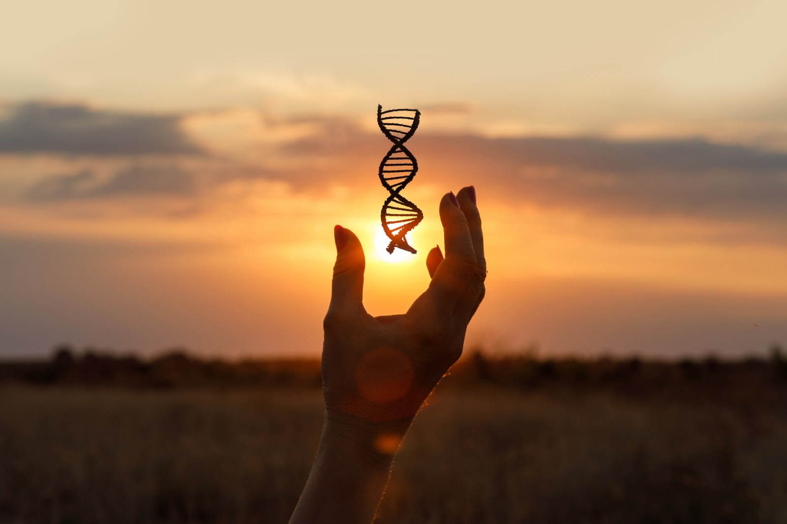 Genetic Links Between Personality Traits and Health Outcomes Explored