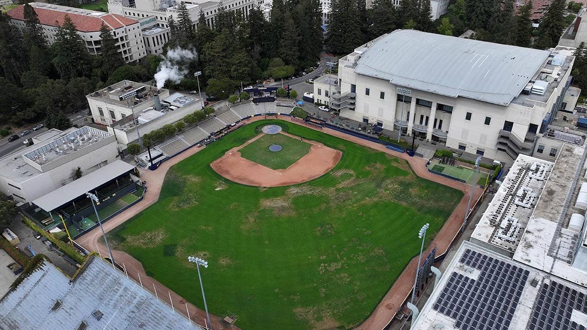 Former UC Berkeley Softball Player Claims Coach Misused Authority for Relationship, Alleges Retaliation