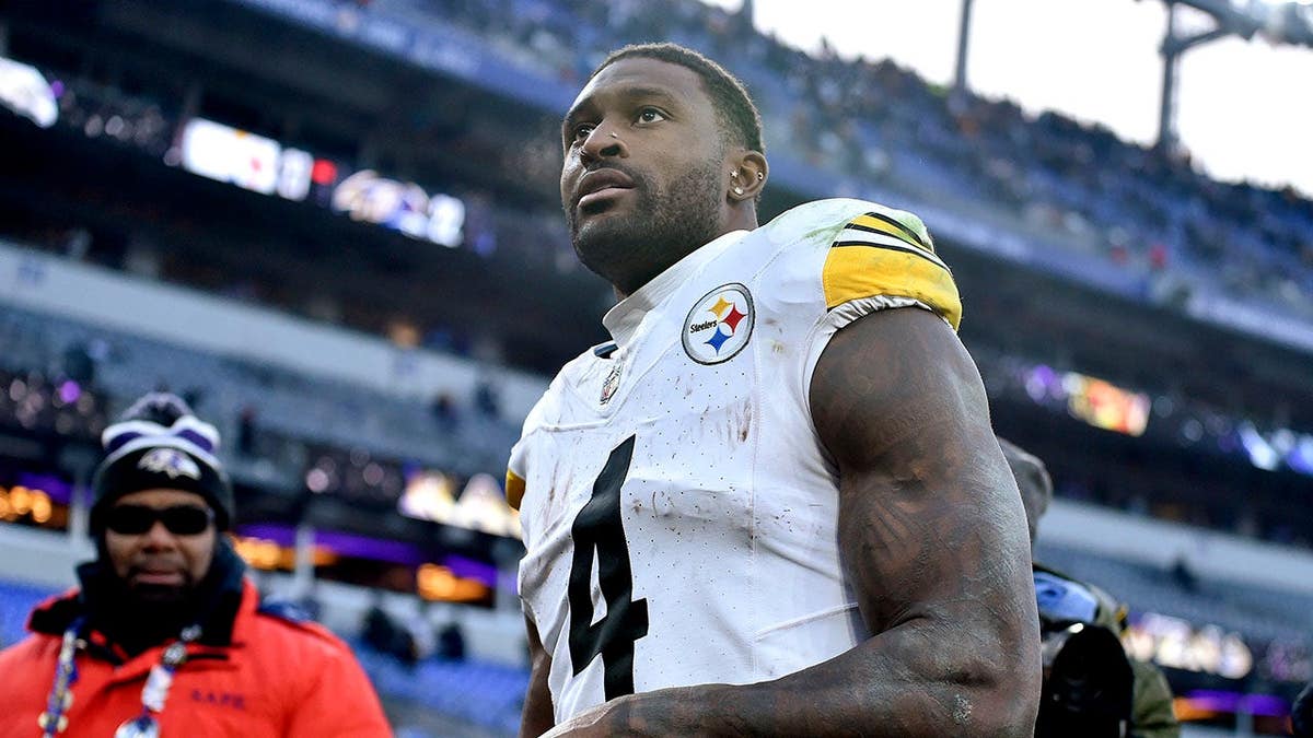 Steelers’ DK Metcalf Shares Unique Theory About Antarctica