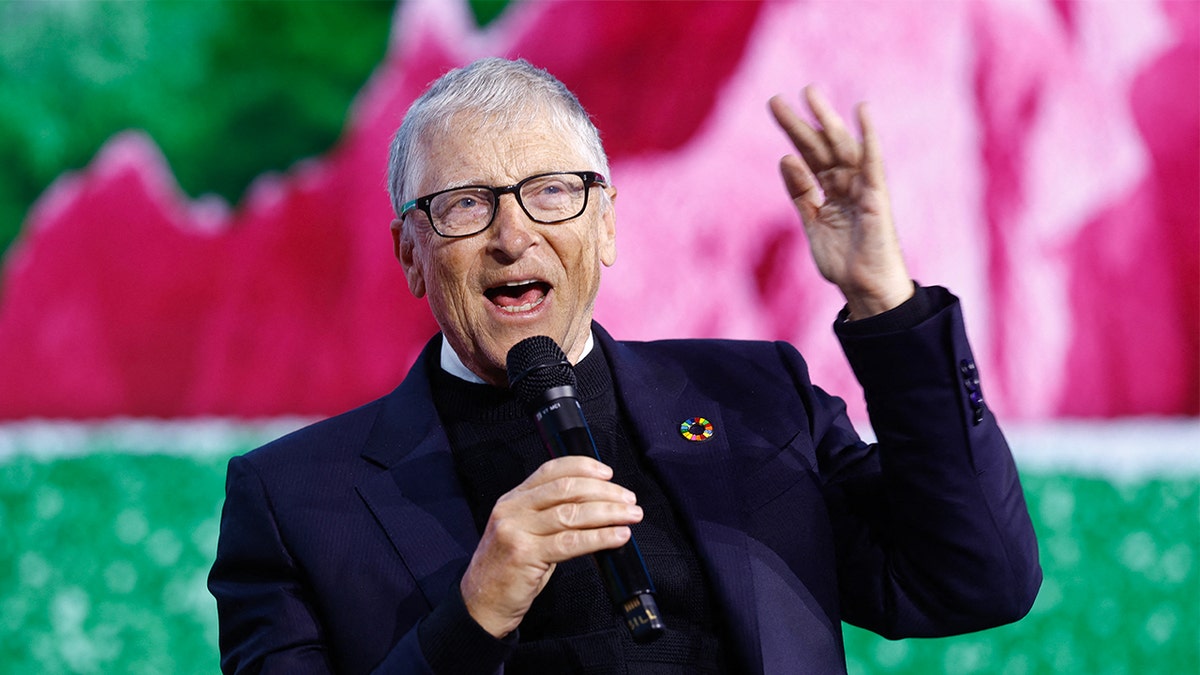 Bill Gates Raises Concerns About AI Regulations