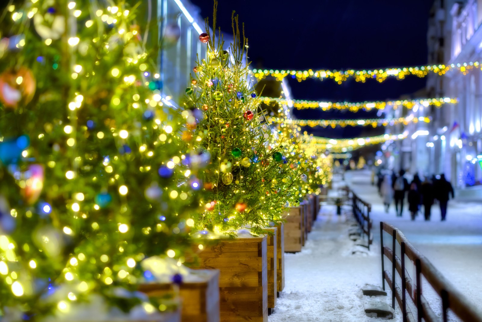 El Niño’s Impact on the Probability of a White Christmas in the U.S.