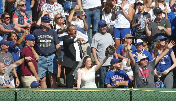 Cubs Launch TikTok Rom-Com Series