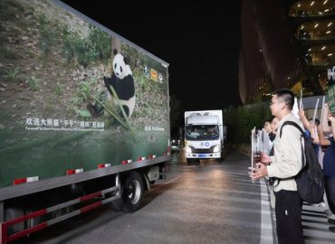 Giant Pandas Arrive at Zoo Atlanta from China