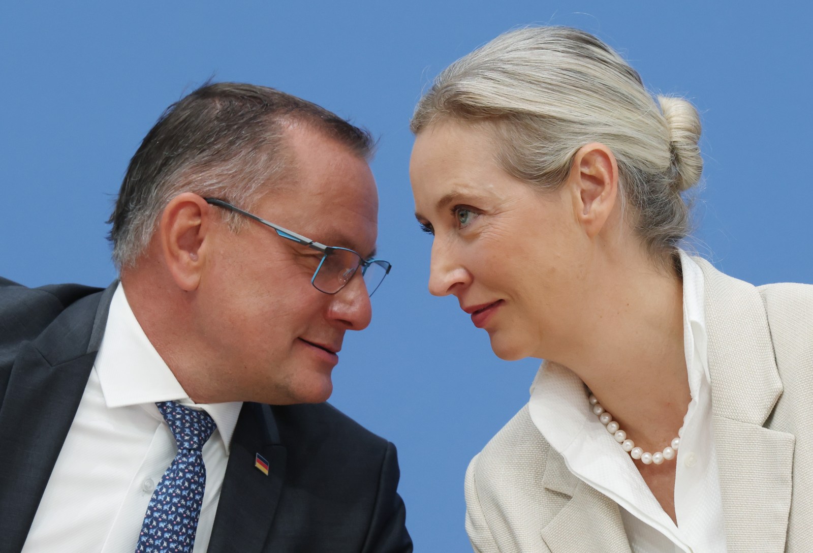 AfD’s Rise in Saxony-Anhalt: Key Figures and Policies