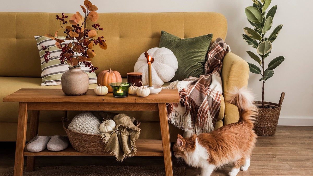 Affordable Fall Decor Finds Under $50 at Popular Retailers