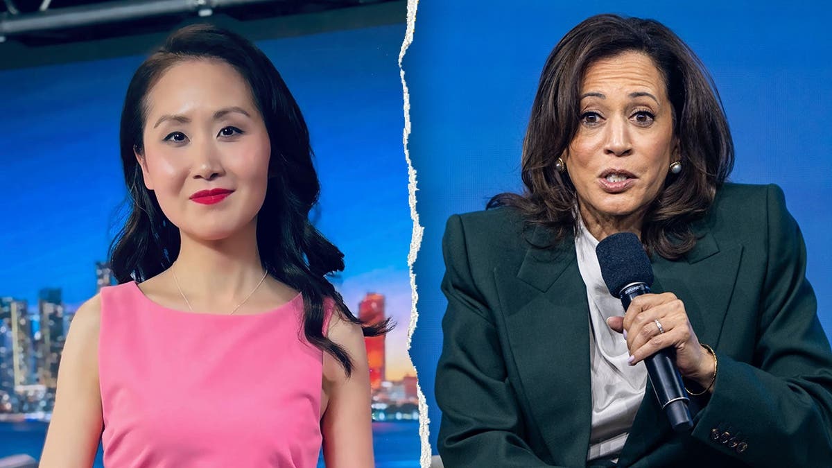 Former Fundraiser Alleges Kamala Harris Poached Biden’s Donors