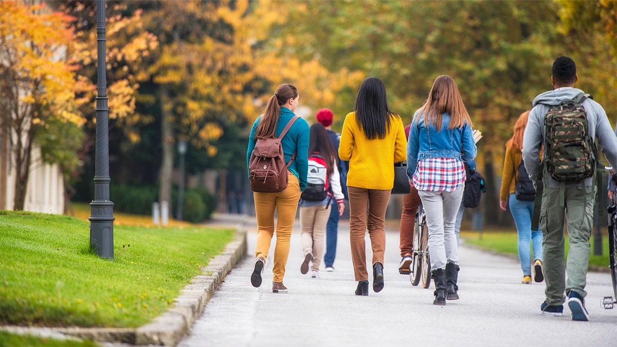 The Impact of Classroom Education on Workforce Readiness