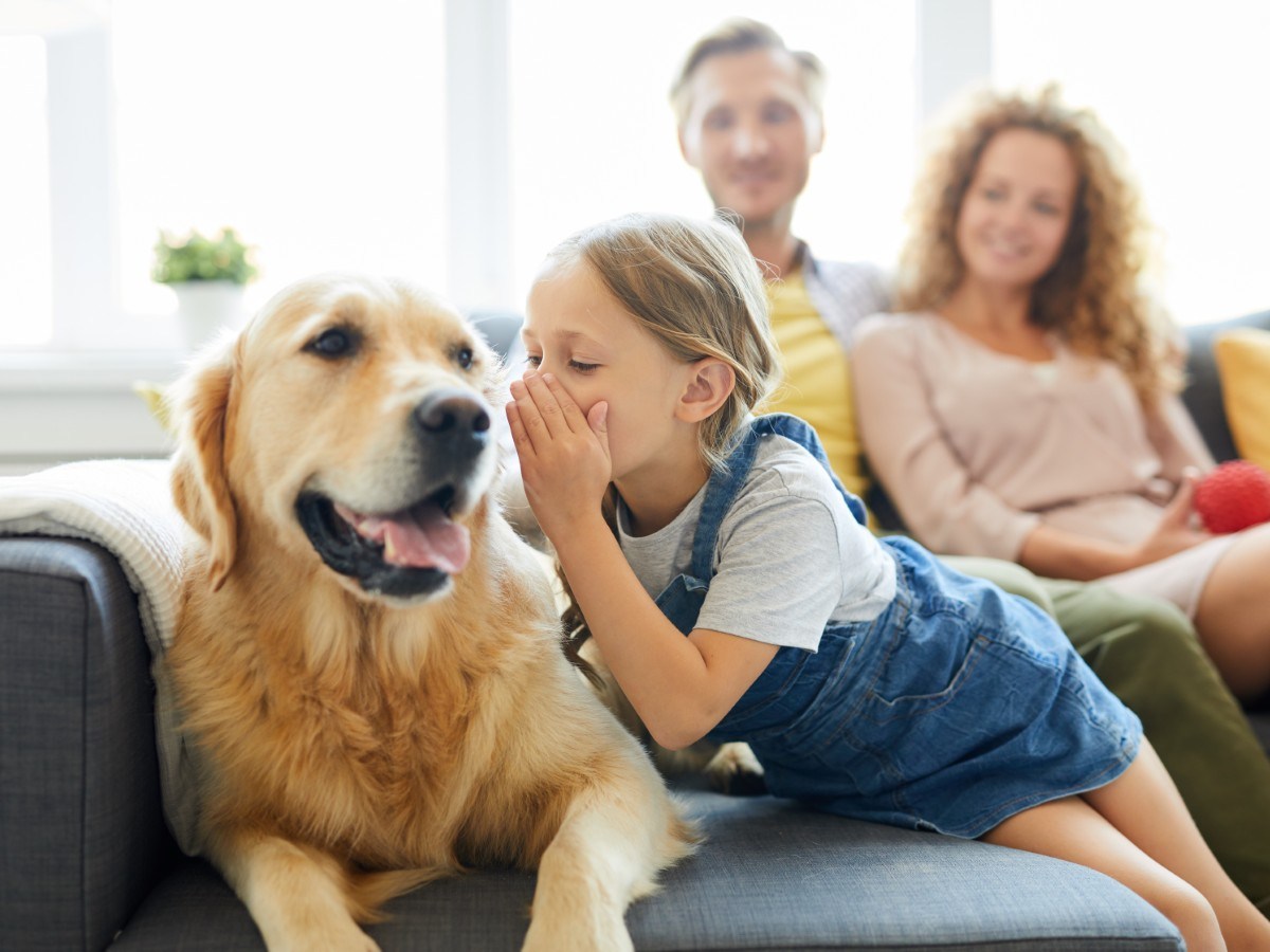 Exploring the Impact of Human-Pet Speech on Well-being