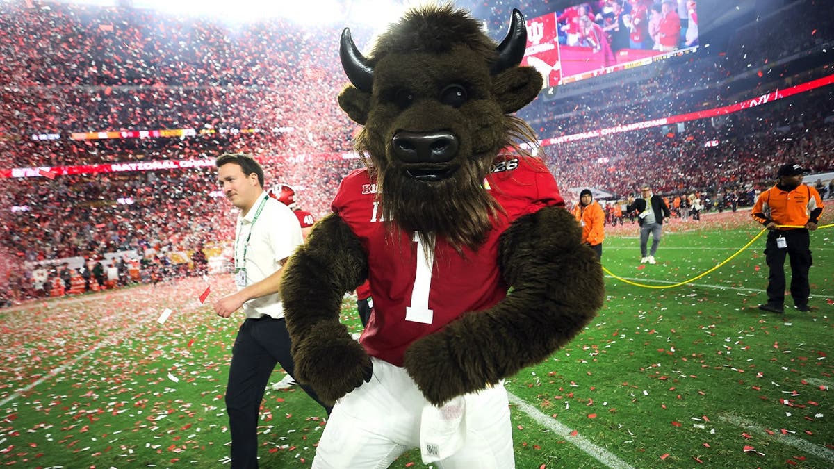 Hoosier the Bison: Indiana Hoosiers Mascot Steals the Show