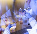 Gene Editing Startup Origin Genomics Explores Controversial Techniques