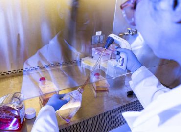 Gene Editing Startup Origin Genomics Explores Controversial Techniques