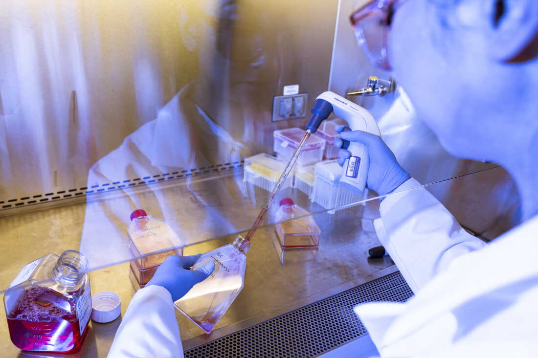 Gene Editing Startup Origin Genomics Explores Controversial Techniques