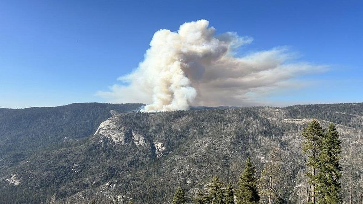 Tragic Helicopter Crash Claims Lives of Two Pilots in Yosemite National Park