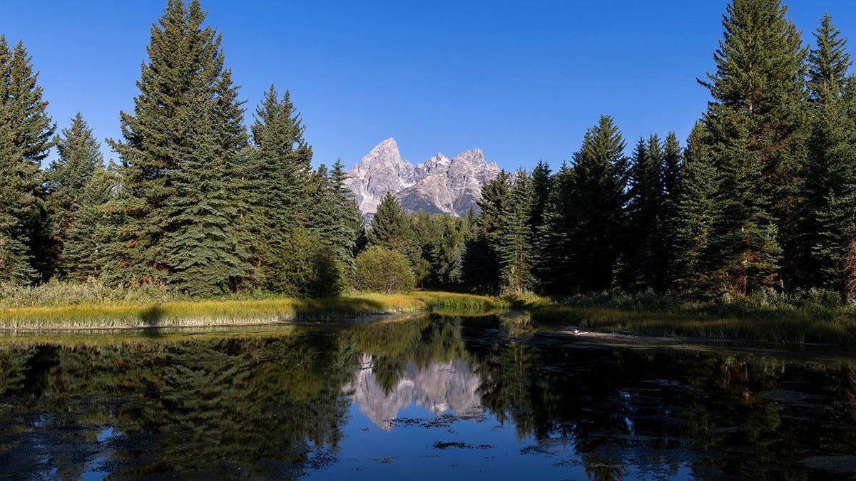 MLB Considers Hosting Game in Grand Teton National Park