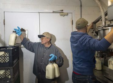 Idaho’s Dairy Industry Faces Labor Challenges Amid Immigration Crackdowns
