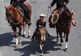 Pilsen’s Mexican Independence Day Parade: A Celebration Amidst Fear