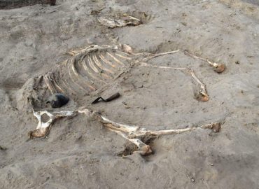 Discovery of Ancient Egyptian Warhorse and Fortress