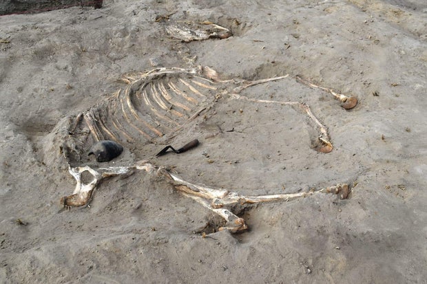 Discovery of Ancient Egyptian Warhorse and Fortress