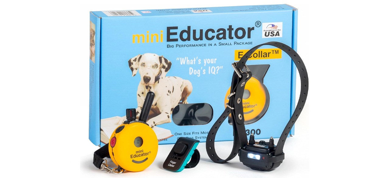 Choosing Bark Collars for Effective Dog Training