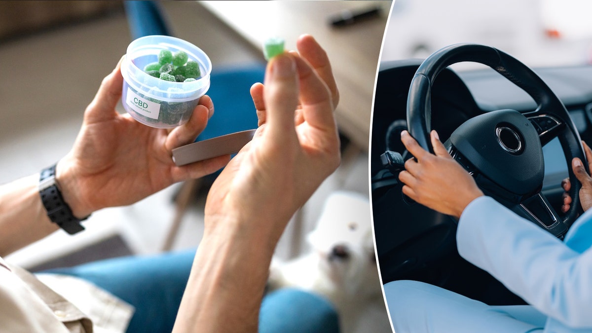 Study Reveals Impact of Cannabis Edibles on Driving Ability
