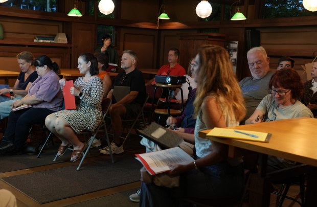 Architecture Enthusiasts Volunteer at Frank Lloyd Wright’s Oak Park Studio